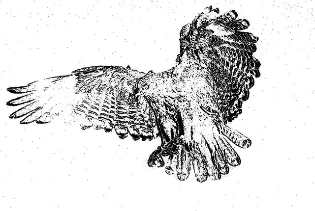 A high-speed difference image tracing a bird's motion in the flight hall.