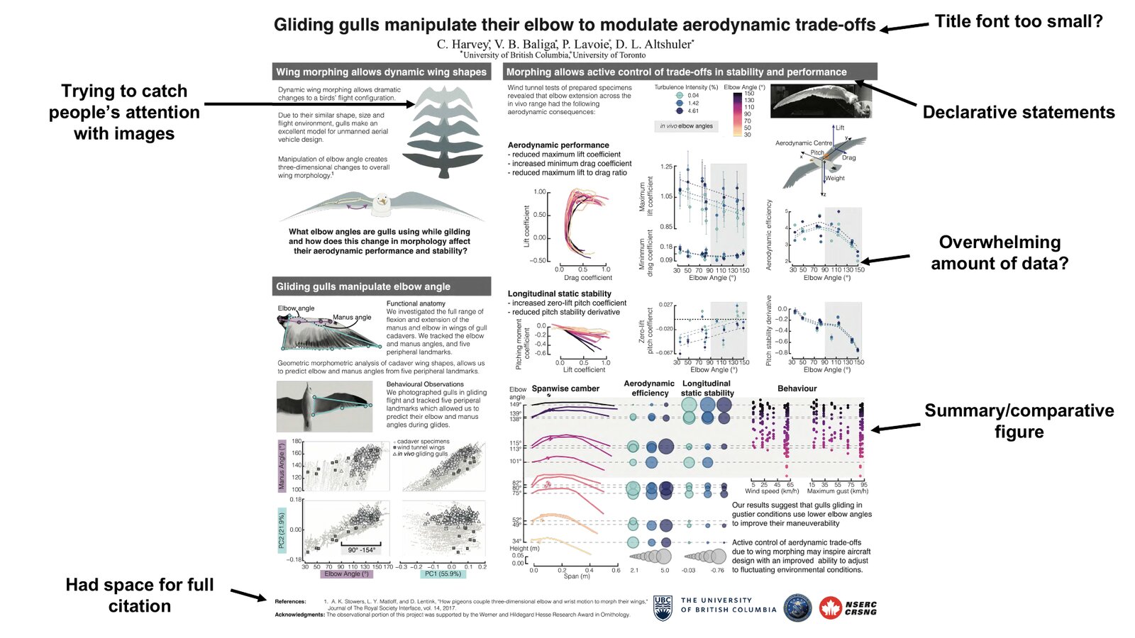 Annotated conference poster: "Gliding gulls manipulate their elbow to modulate aerodynamic trade-offs."