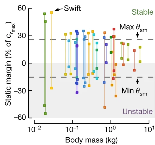 Figure from “Birds can transition between stable and unstable states via wing morphing”
