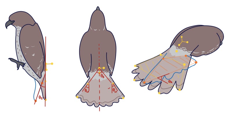 Figure from the project: Range-of-motion quantification